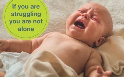 GM Perinatal Support Networks
